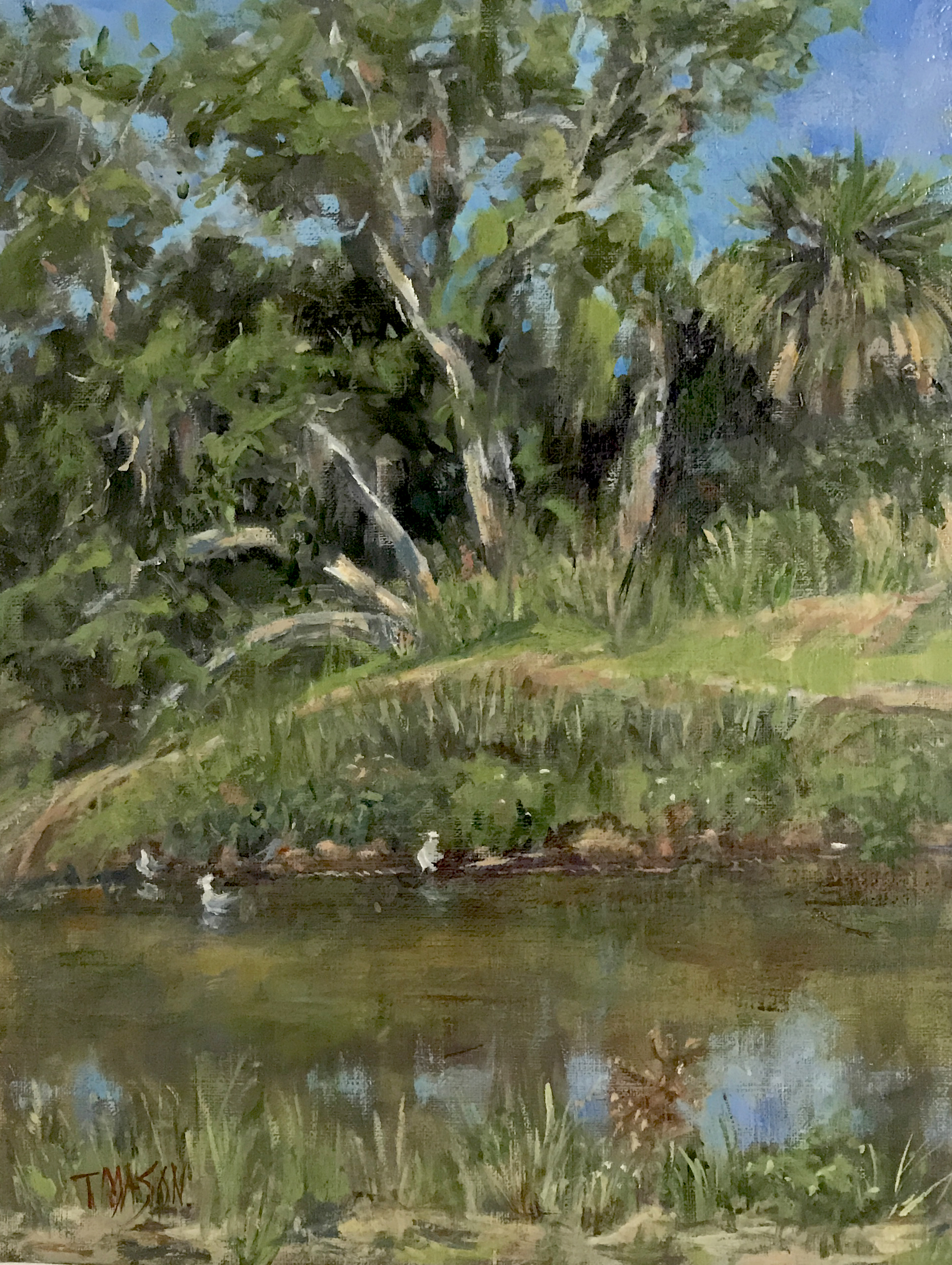 Across the River at Pinecraft